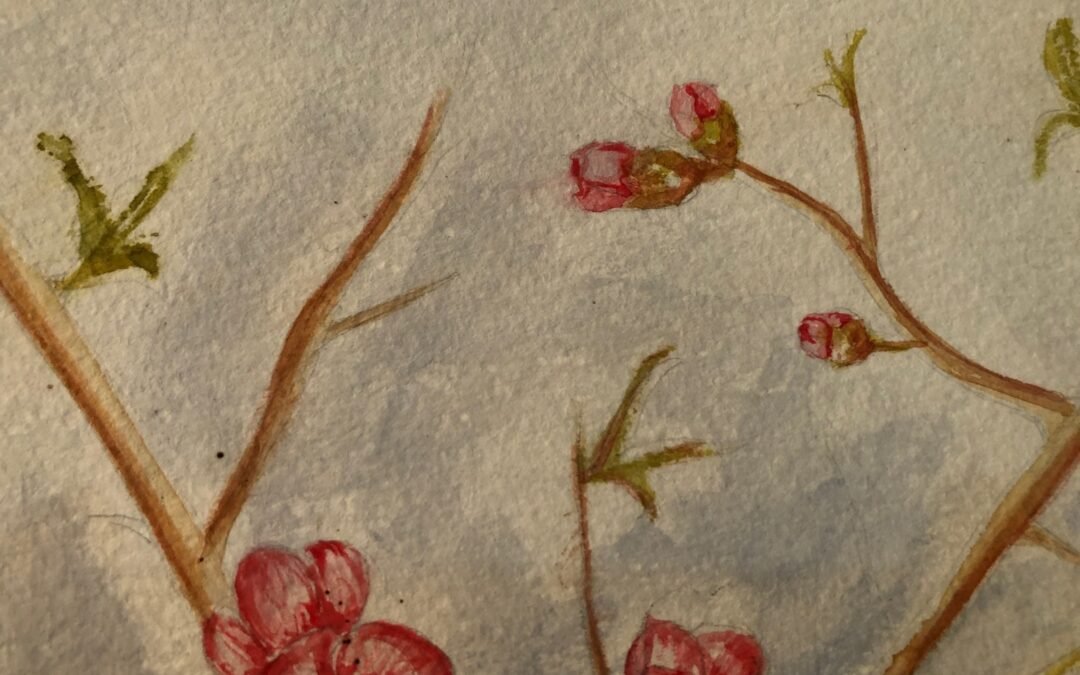 4 agosto 2024, La storia.