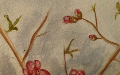 4 agosto 2024, La storia.